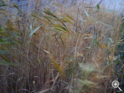 Klicka fÃ¶r stÃ¶rre