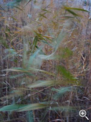 Klicka fÃ¶r stÃ¶rre