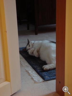 Klicka fÃ¶r stÃ¶rre