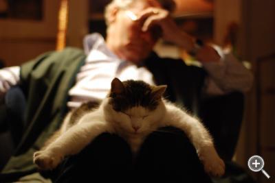 Klicka fÃ¶r stÃ¶rre