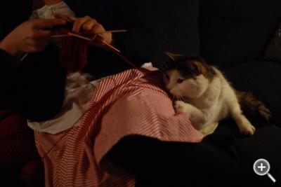 Klicka fÃ¶r stÃ¶rre