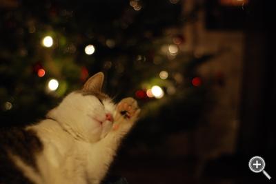 Klicka fÃ¶r stÃ¶rre