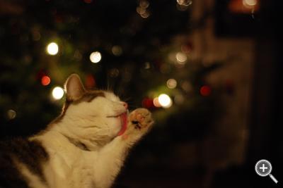 Klicka fÃ¶r stÃ¶rre