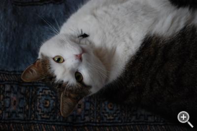 Klicka fÃ¶r stÃ¶rre