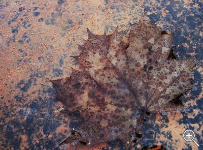 Klicka fÃ¶r stÃ¶rre