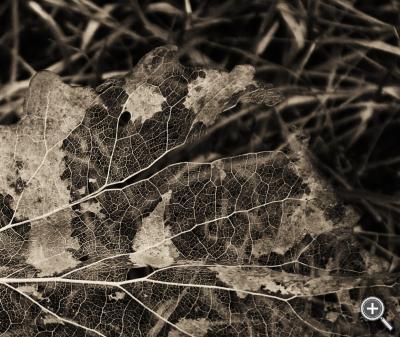 Klicka fÃ¶r stÃ¶rre