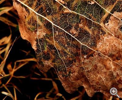 Klicka fÃ¶r stÃ¶rre