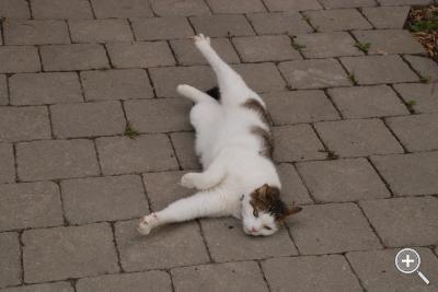 Klicka fÃ¶r stÃ¶rre