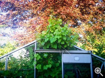 Klicka fÃ¶r stÃ¶rre