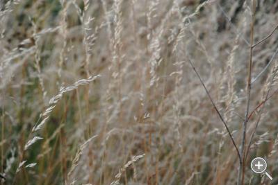 Klicka fÃ¶r stÃ¶rre