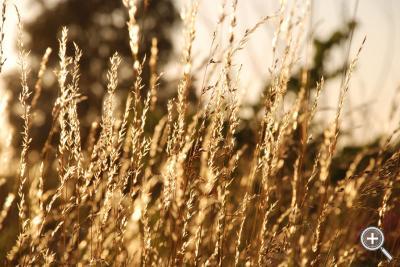Klicka fÃ¶r stÃ¶rre