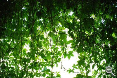 Klicka fÃ¶r stÃ¶rre