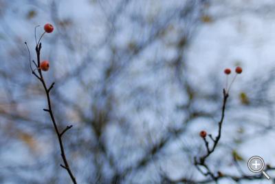 Klicka fÃ¶r stÃ¶rre