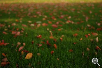 Klicka fÃ¶r stÃ¶rre