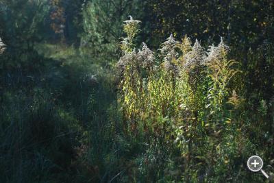 Klicka fÃ¶r stÃ¶rre