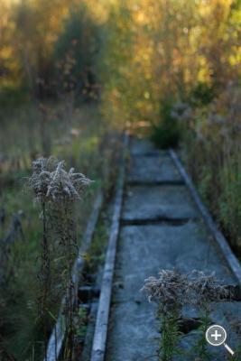 Klicka fÃ¶r stÃ¶rre