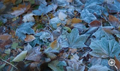 Klicka fÃ¶r stÃ¶rre