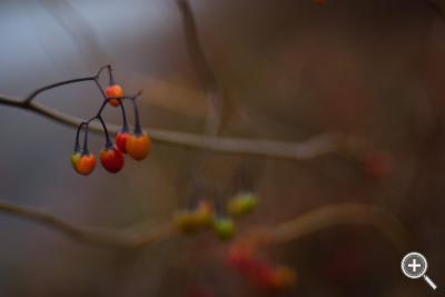 Klicka fÃ¶r stÃ¶rre