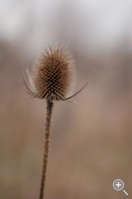 Klicka fÃ¶r stÃ¶rre