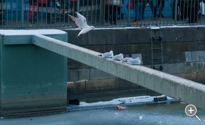 Klicka fÃ¶r stÃ¶rre