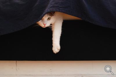 Klicka fÃ¶r stÃ¶rre