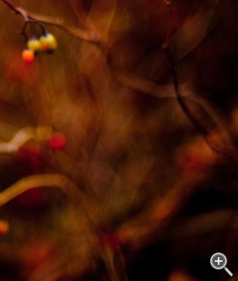 Klicka fÃ¶r stÃ¶rre