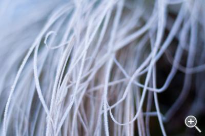 Klicka fÃ¶r stÃ¶rre