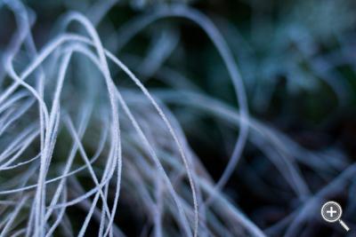 Klicka fÃ¶r stÃ¶rre