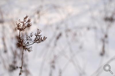 Klicka fÃ¶r stÃ¶rre