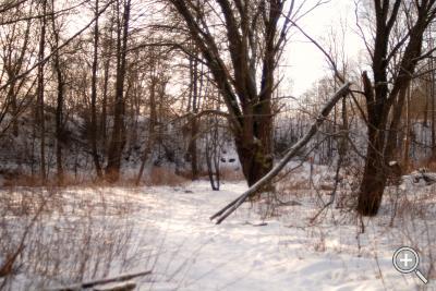 Klicka fÃ¶r stÃ¶rre