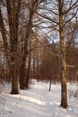 Klicka fÃ¶r stÃ¶rre