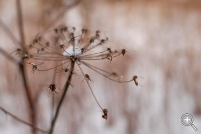 Klicka fÃ¶r stÃ¶rre