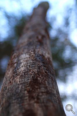 Klicka fÃ¶r stÃ¶rre