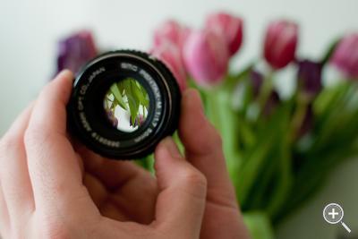 Klicka fÃ¶r stÃ¶rre