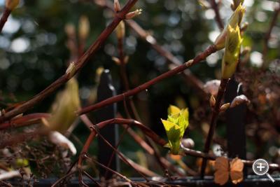 Klicka fÃ¶r stÃ¶rre