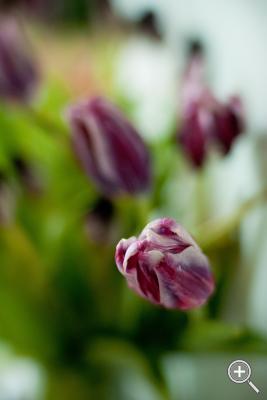 Klicka fÃ¶r stÃ¶rre