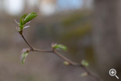 Klicka fÃ¶r stÃ¶rre