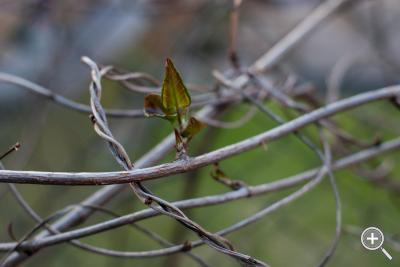Klicka fÃ¶r stÃ¶rre