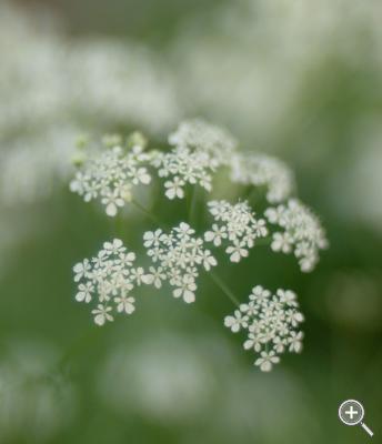 Klicka fÃ¶r stÃ¶rre
