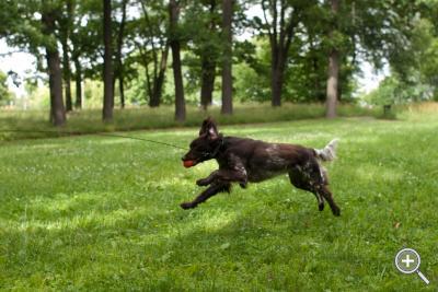 Klicka fÃ¶r stÃ¶rre