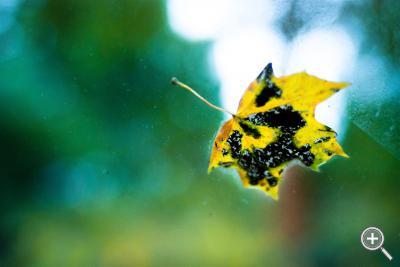 Klicka fÃ¶r stÃ¶rre