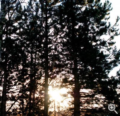 Klicka fÃ¶r stÃ¶rre